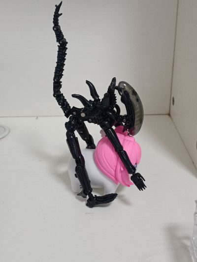 52TOYS 猛兽匣 IB13 异形