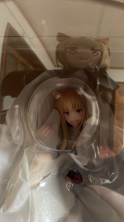 狼与香辛料 MERCHANT MEETS THE WISE WOLF 赫萝