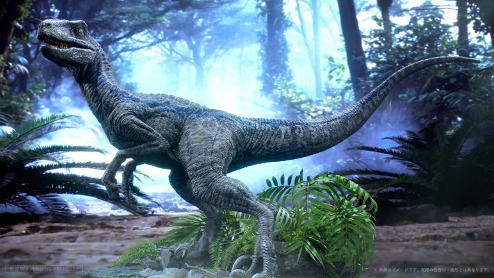 小蓝（Blue） 1/2 比例