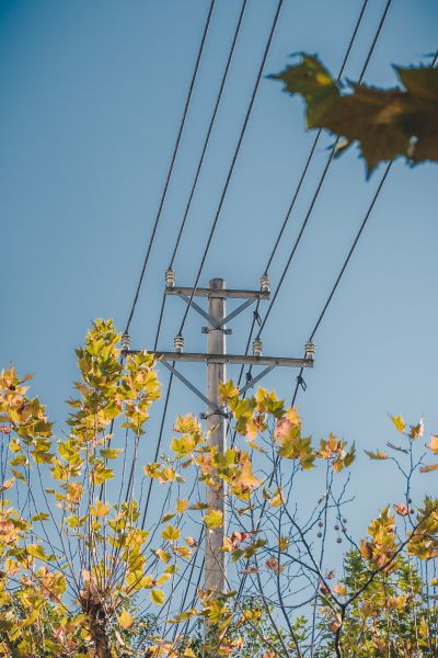 梦想协奏曲！ 玩偶 迷途之子！！！！！ 高松灯/千早爱音/要乐奈/长崎爽世/椎名立希
