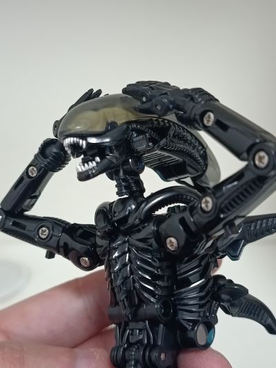 52TOYS 猛兽匣 IB13 异形