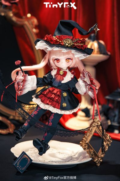 芙罗拉 鸦羽红蔷