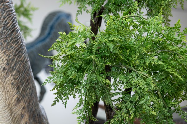 食肉牛龙（Carnotaurus）