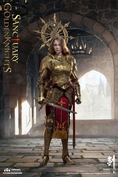 剑乱风云 圣殿黄金守卫/白银守卫