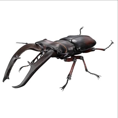 生物大图鉴Premium 巨颚叉角锹形虫（红色）