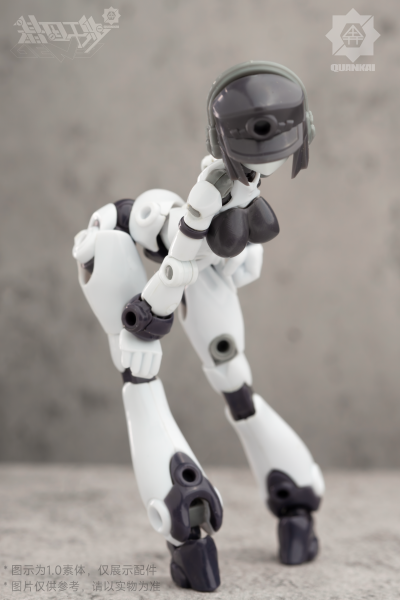 基因干涉系列 素体套02