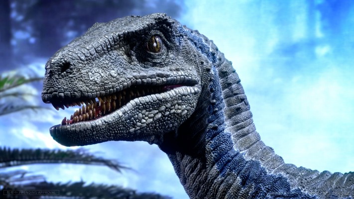 小蓝（Blue） 1/2 比例