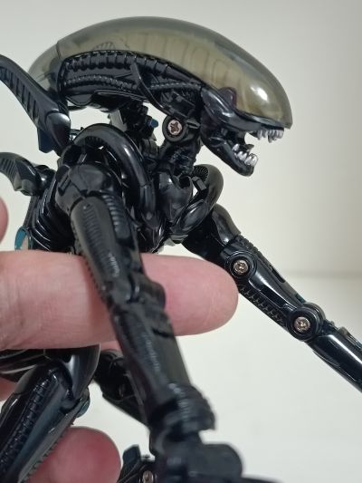 52TOYS 猛兽匣 IB13 异形