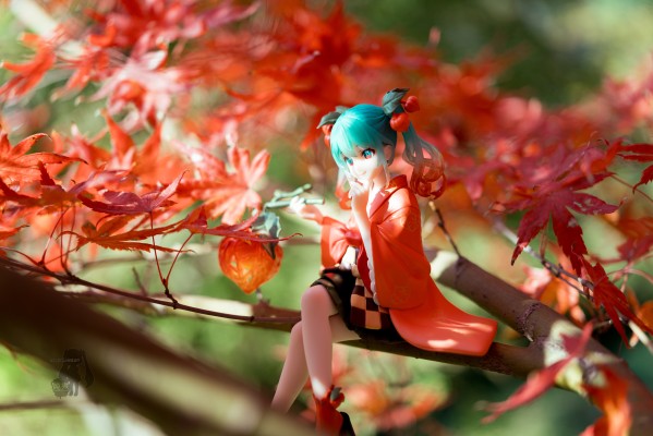 压泡面 初音未来 花仙子 酸浆果