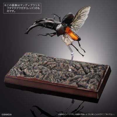 生物大图鉴Premium 巨颚叉角锹形虫（黑色）