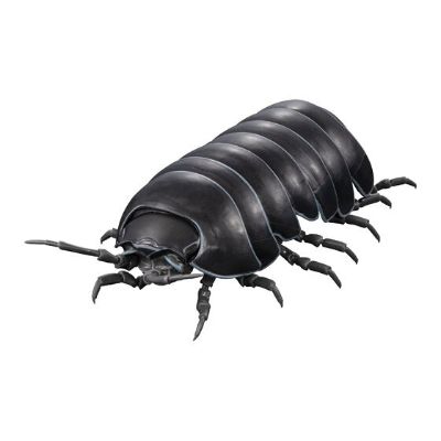 生物大图鉴 鼠妇