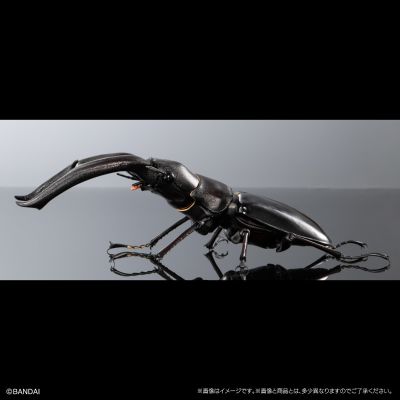 生物大图鉴Premium 巨颚叉角锹形虫（黑色）