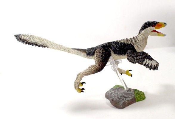 西方2件装-冈氏鹫盗龙和幼年不等细爪龙- 1/6可动玩偶