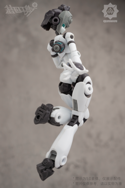 基因干涉系列 素体套02