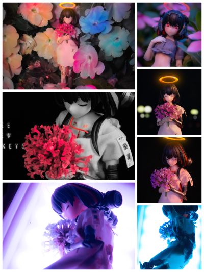 S.H.Figuarts  特拉法尔加·罗 -讨伐鬼之岛-