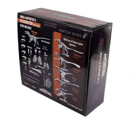 恐龙组装套装A：迅猛龙 – 1/6可动套装