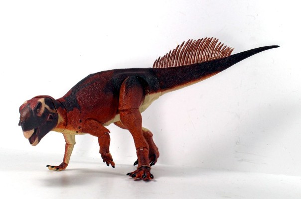 蒙古鹦鹉嘴龙 1/6可动玩偶