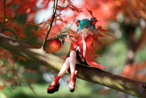 压泡面 初音未来 花仙子 酸浆果