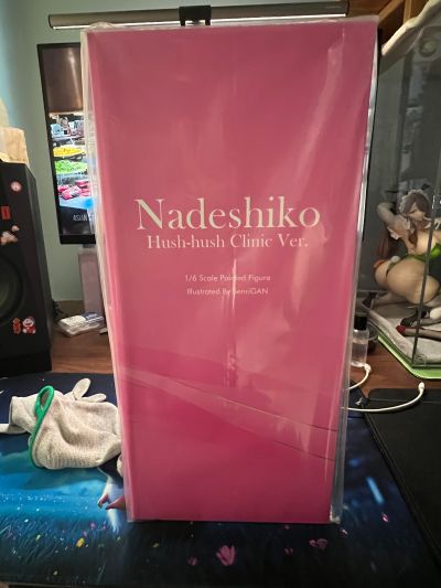 抚子 秘密的诊疗室