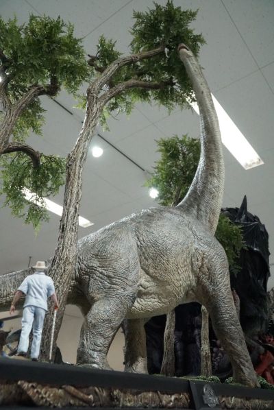 食肉牛龙（Carnotaurus）