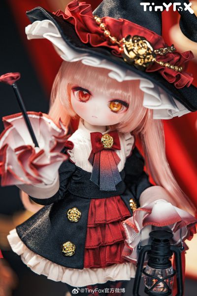 芙罗拉 鸦羽红蔷