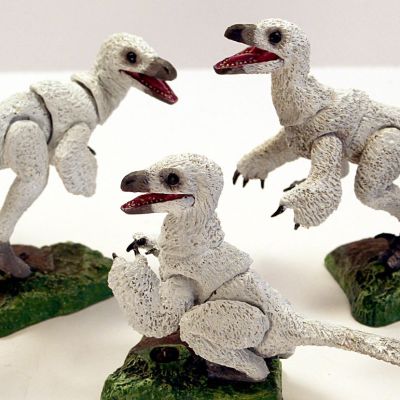 雏鸟3只装-白色- 1/6可动玩偶