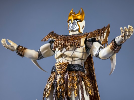 S.H.Figuarts(真骨雕制法) 恩·达古巴·灾巴