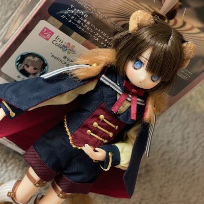 POD060-LTN 1/6艾莉丝收集 小型 雷欧 ～温柔马戏团～ 怀旧世界