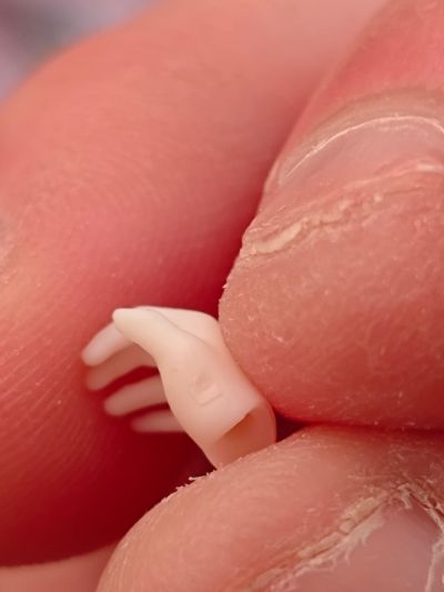 见习魔女-星川猫猫