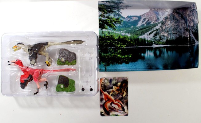 西方2件装-冈氏鹫盗龙和幼年不等细爪龙- 1/6可动玩偶