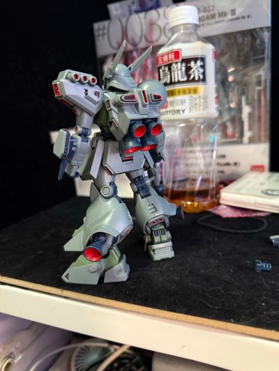 RE/100 1/100 迪南·格