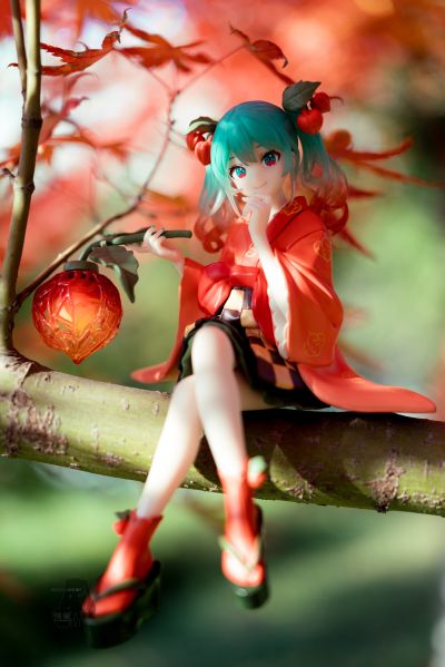 压泡面 初音未来 花仙子 酸浆果