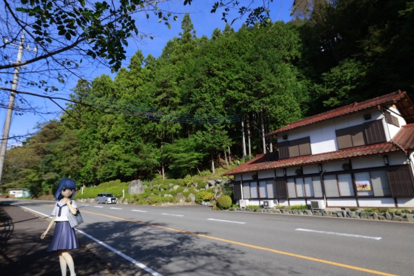 摇曳露营△ 志摩凛 四尾连湖营地