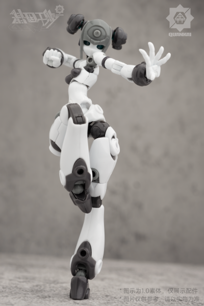 基因干涉系列 素体套02