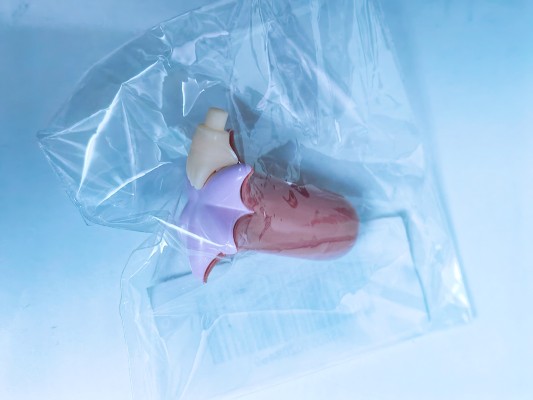 粘土人 预订活动【2024/12】特典 大大的食物2