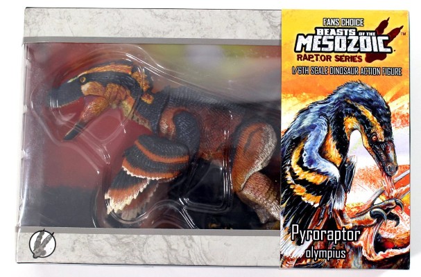 奥林匹斯火盗龙（粉丝选择）- 1/6可动玩偶