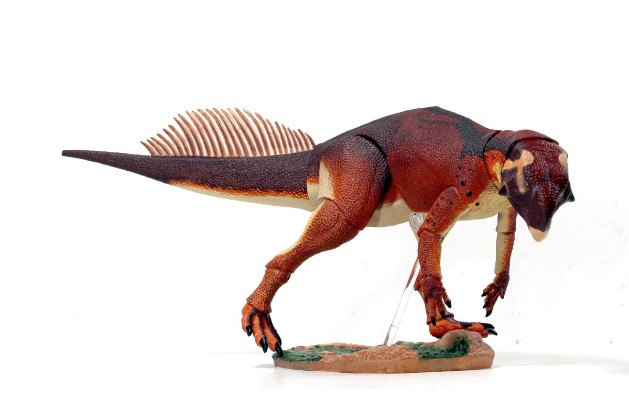 蒙古鹦鹉嘴龙 1/6可动玩偶