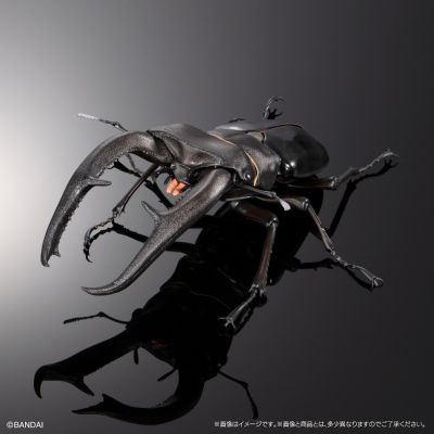 生物大图鉴Premium 巨颚叉角锹形虫（黑色）