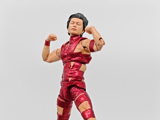 S.H.Figuarts 天手让叶（化名：玛秋）