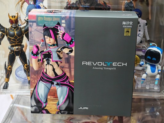 转轮科技系列 惊奇山口 街霸6 韩蛛俐