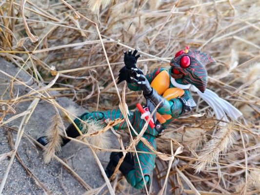 S.H.Figuarts 假面骑士亚马逊