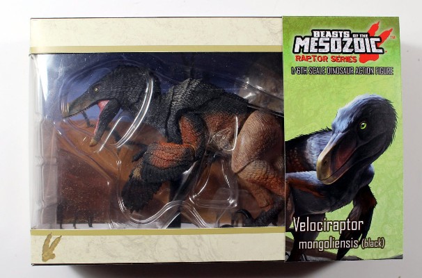 蒙古伶盗龙(黑色)- 1/6可动玩偶