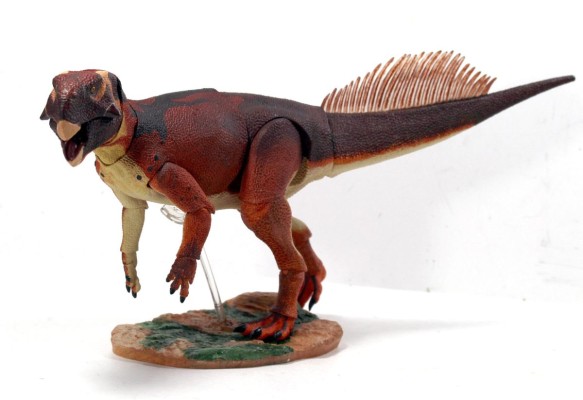 蒙古鹦鹉嘴龙 1/6可动玩偶