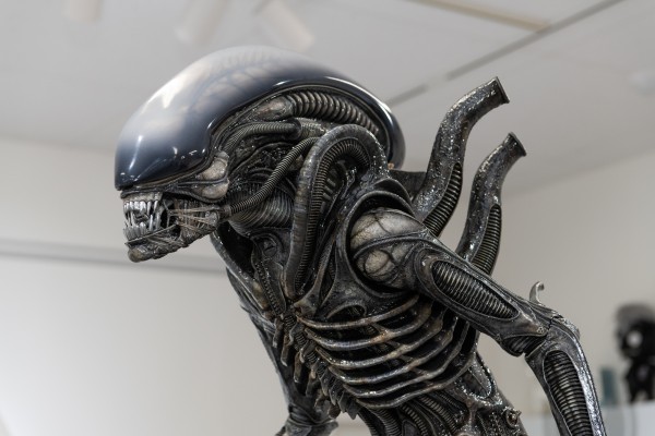 Big Chap 异形（Xenomorph）