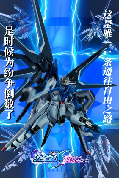 METAL ROBOT魂 ＜机动战士系列＞  不朽正义高达