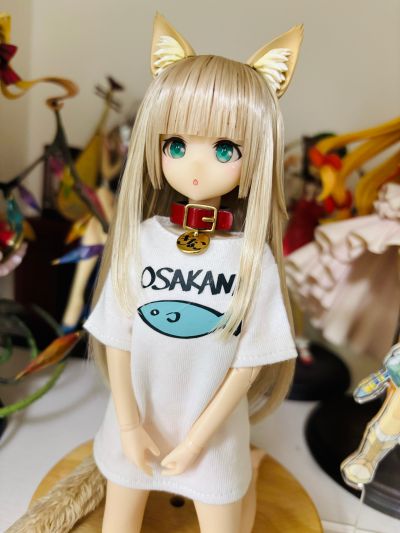 我家的猫是可爱女孩 黄豆粉 普通版