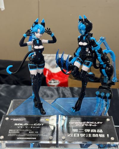 AnimaCircuit 索拉猫猫