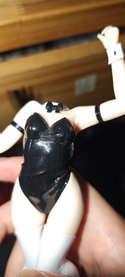 Vivit 无职转生2 ~到了异世界就拿出真本事~  洛琪希·米格路迪亚 兔女郎