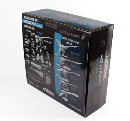 恐龙组装套装B：野蛮盗龙 – 1/6可动套装