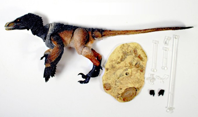 蒙古伶盗龙(黑色)- 1/6可动玩偶